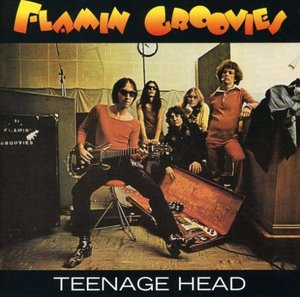 flamin groovies.jpg